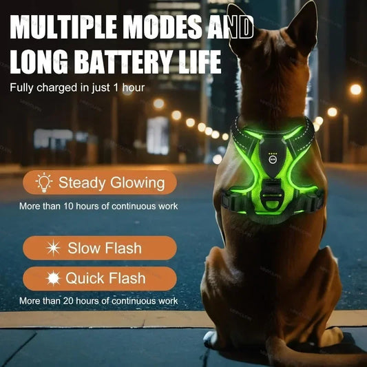 GlowSafe LED Harness