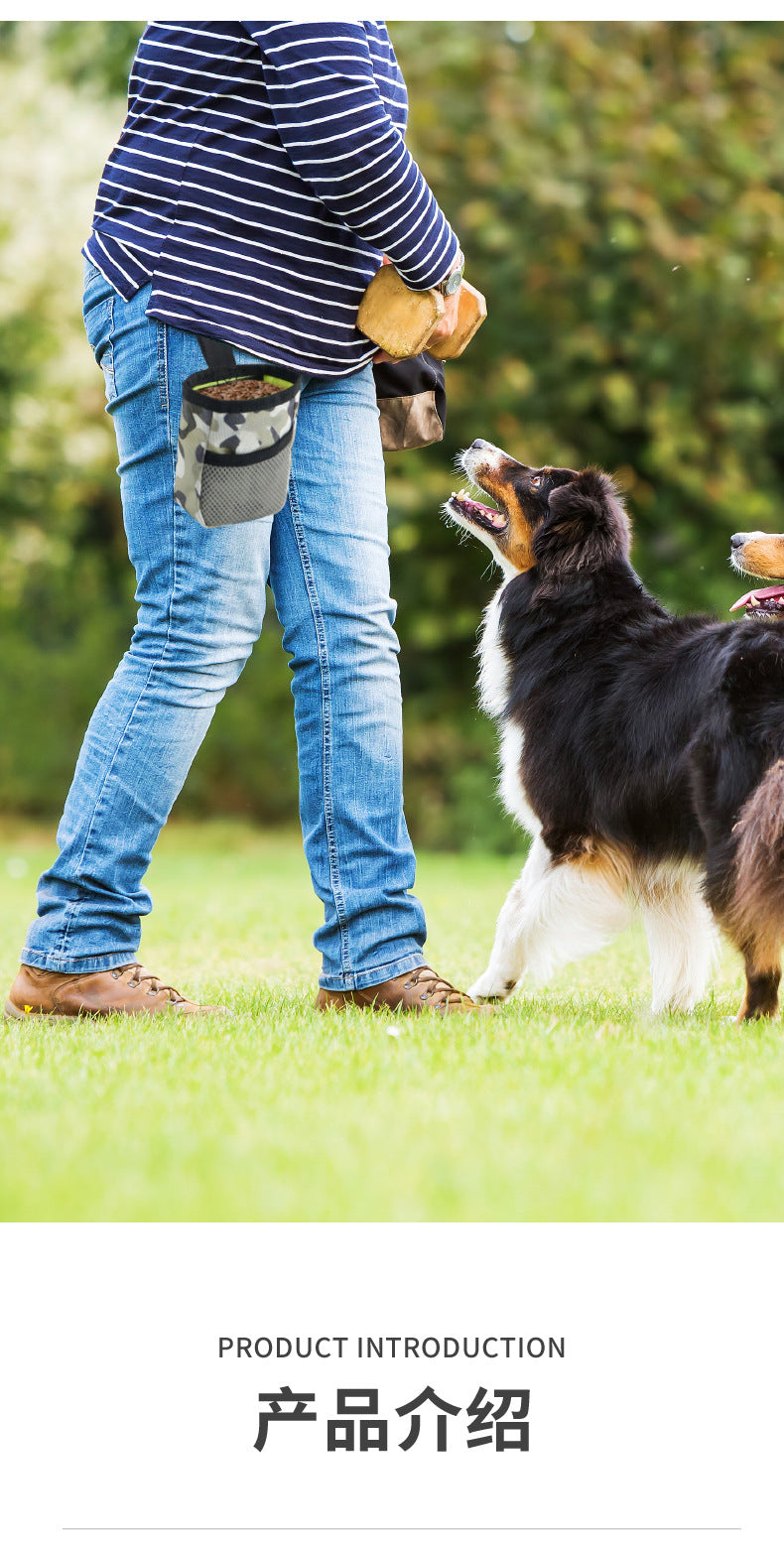 RewardReady Treat Pouch