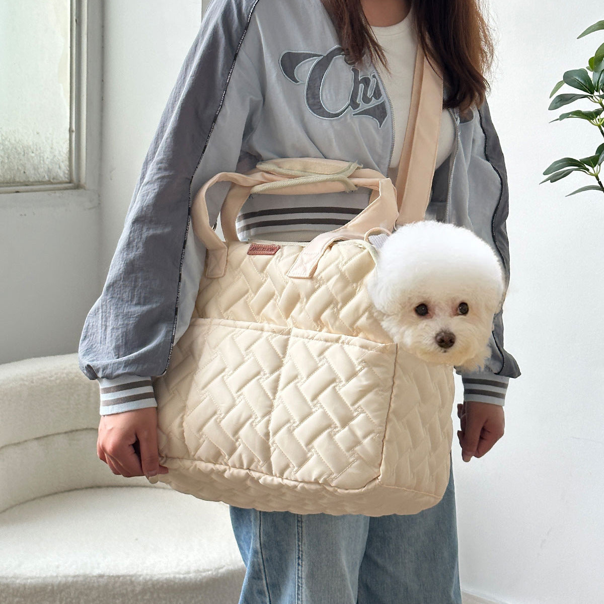 BreezeCarry Pet Bag