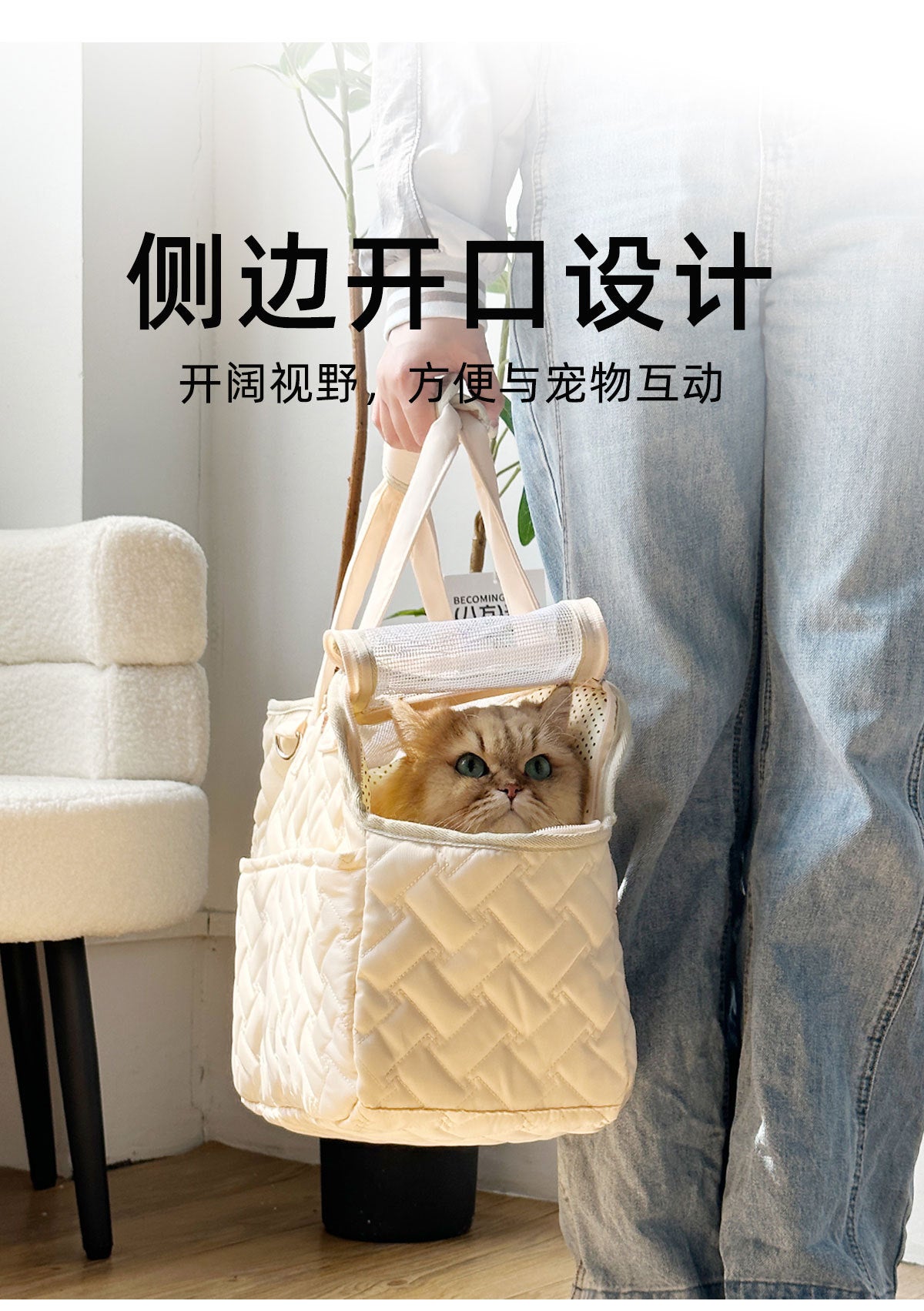 BreezeCarry Pet Bag