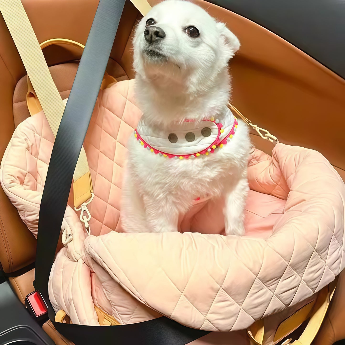 TravelNest Pet Carrier