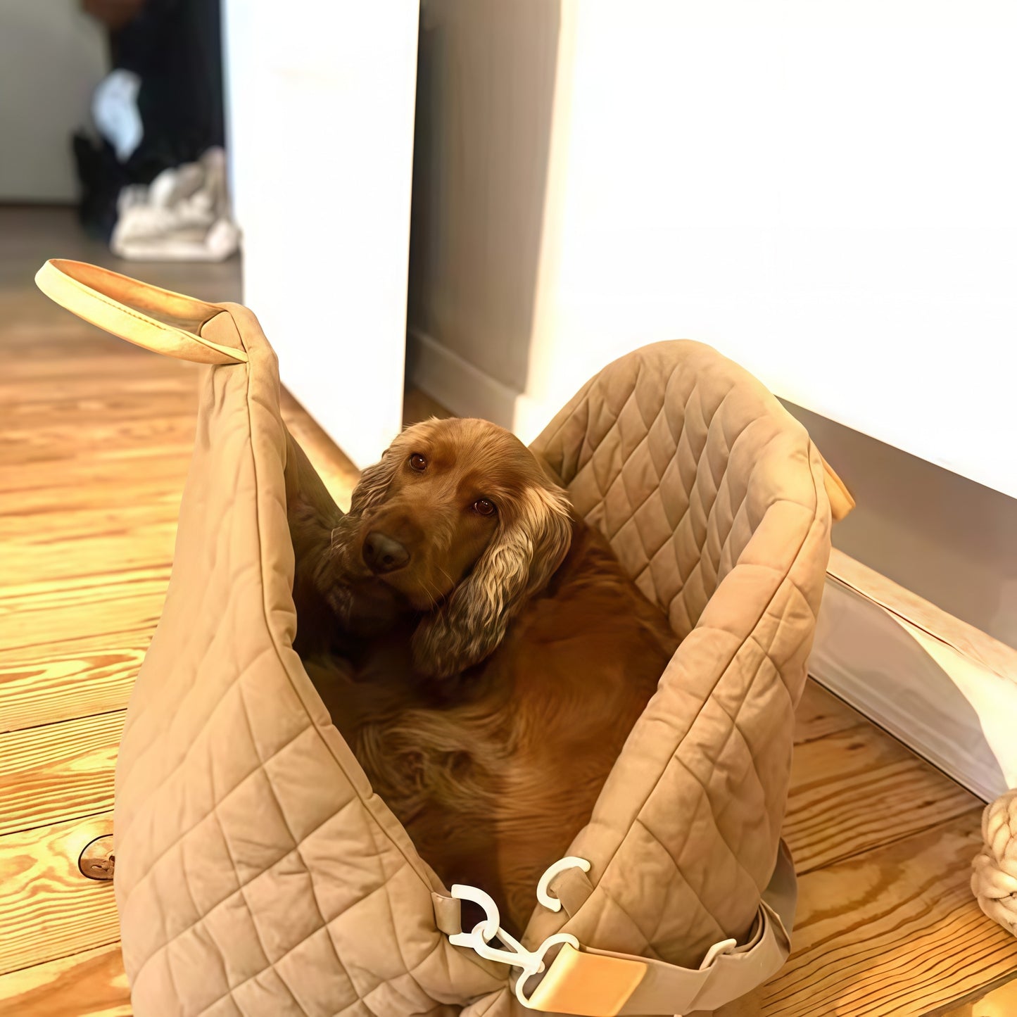 TravelNest Pet Carrier