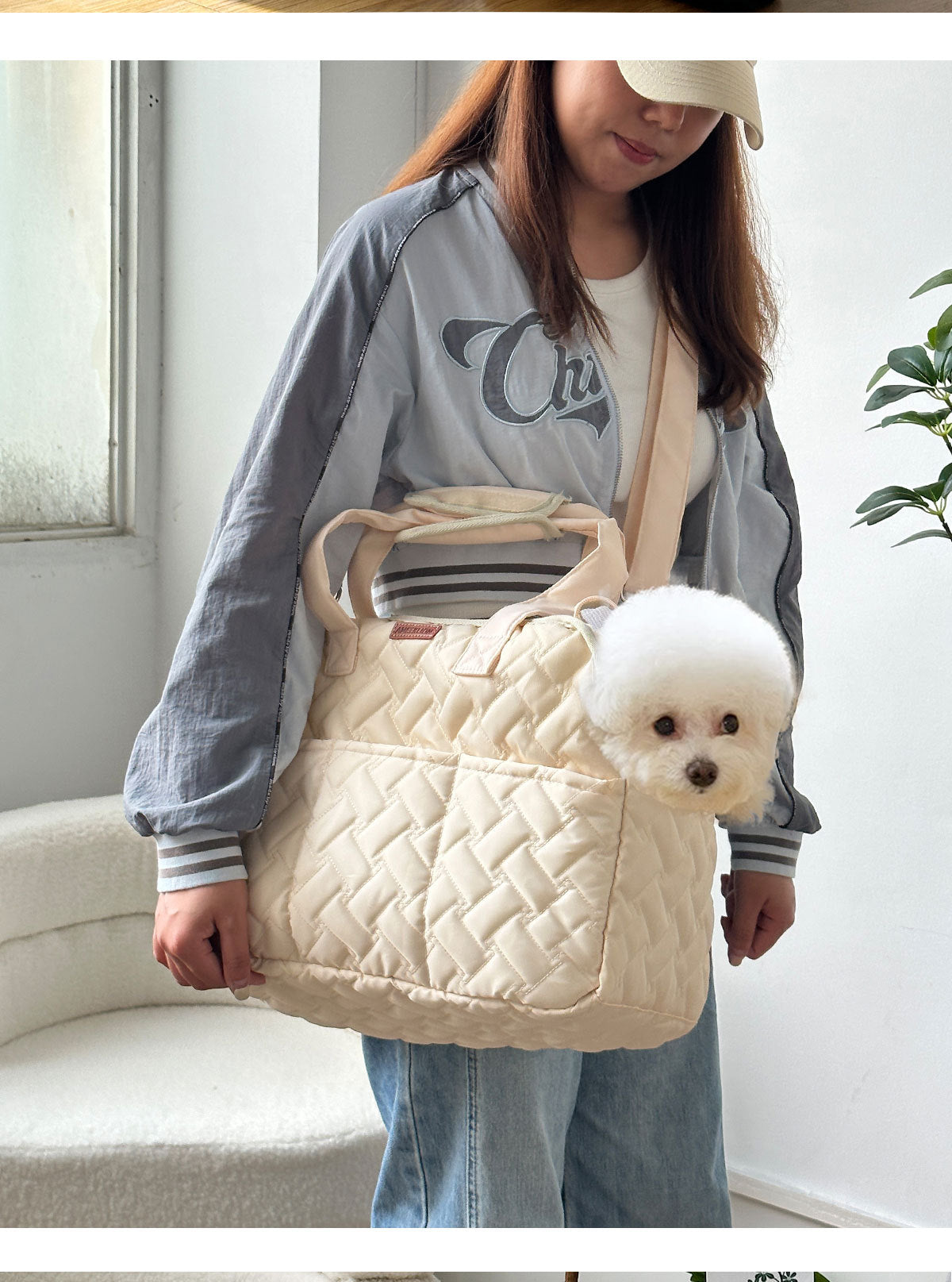 BreezeCarry Pet Bag