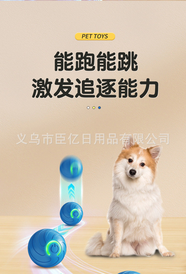 Dog toy with a dog on a beige background, featuring text about pet toys.