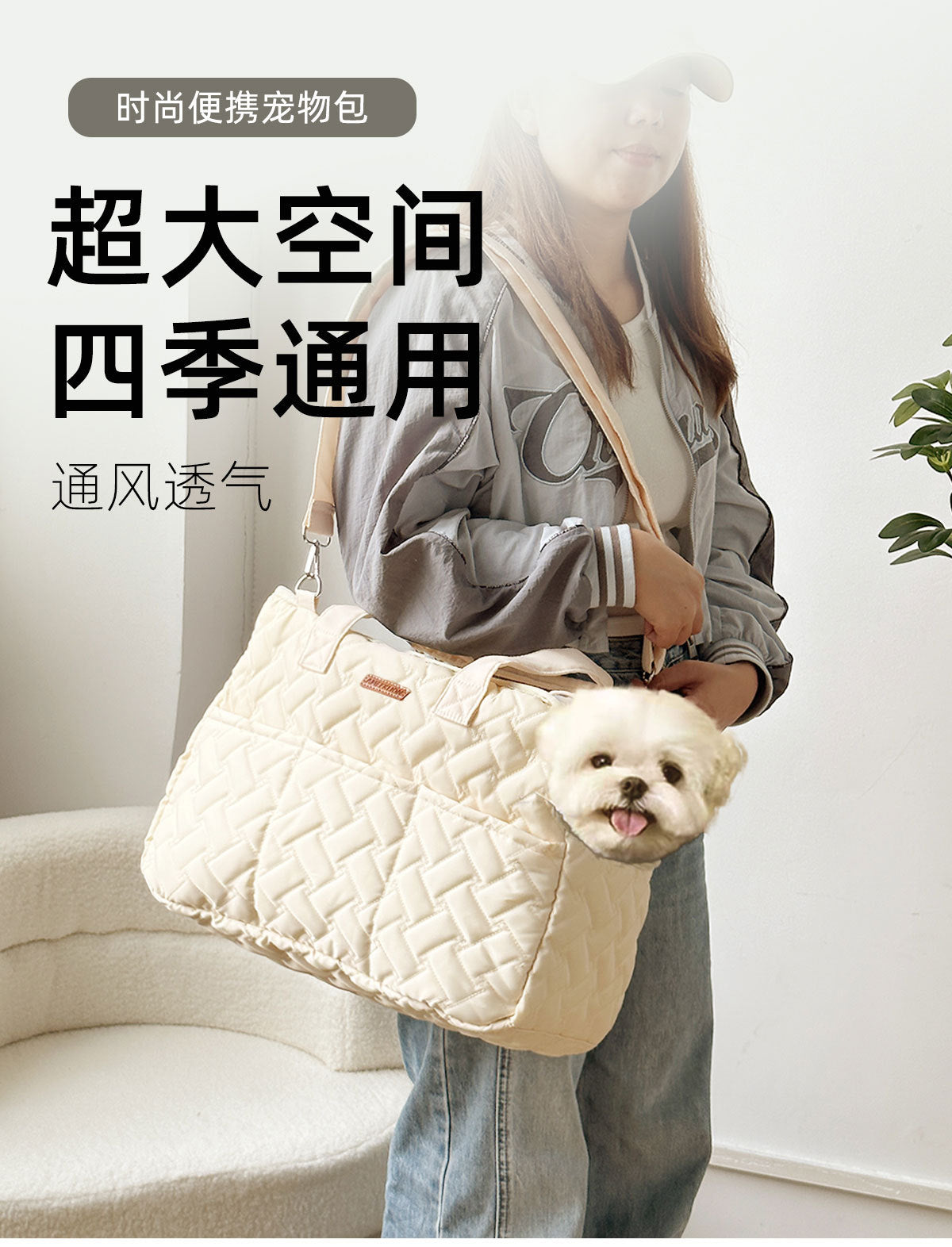 BreezeCarry Pet Bag