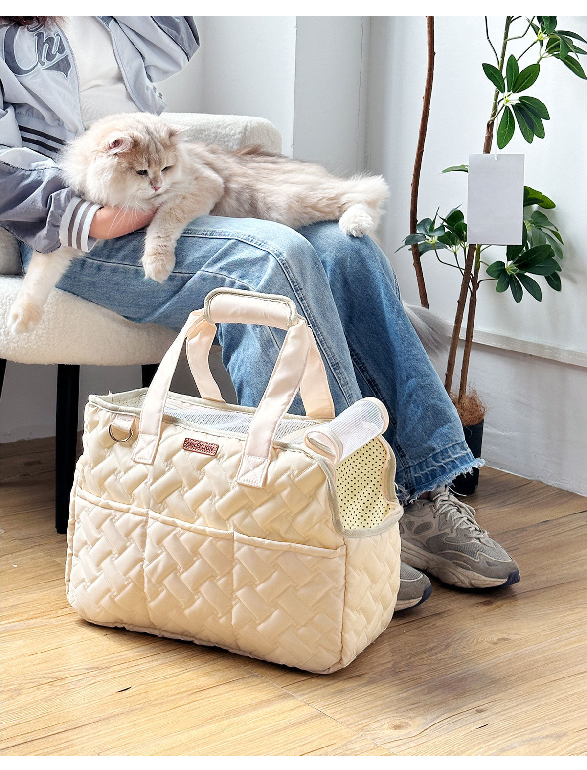 BreezeCarry Pet Bag