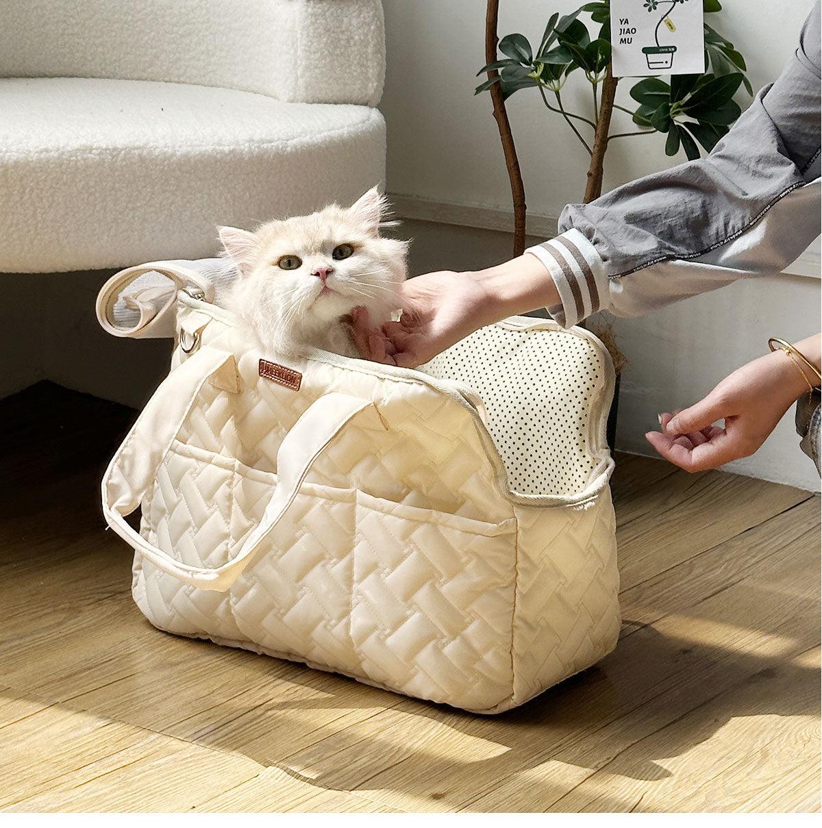 BreezeCarry Pet Bag