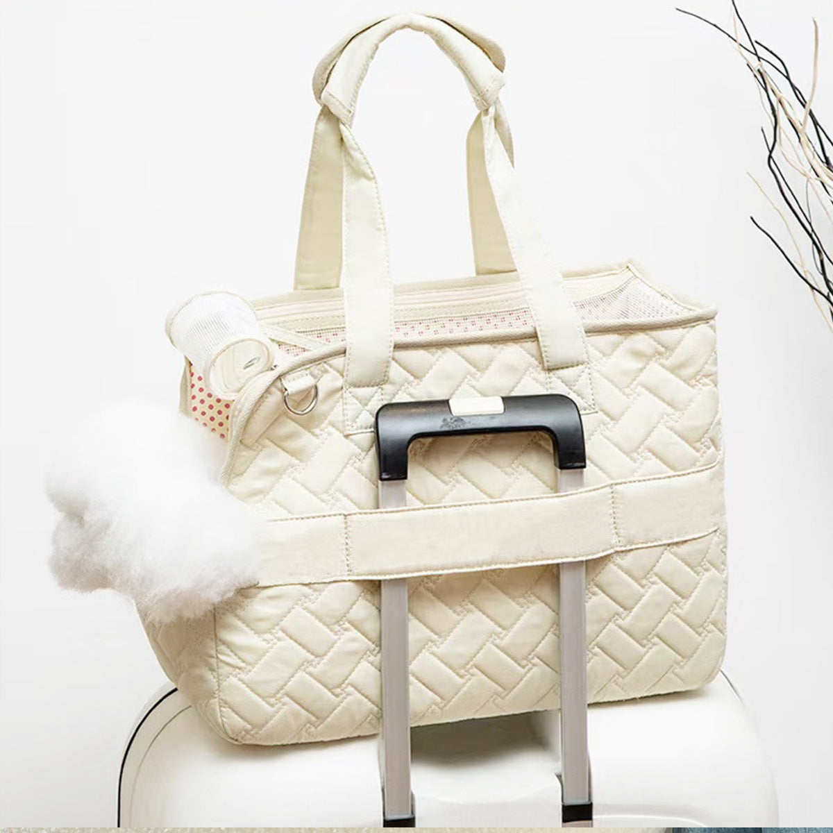 BreezeCarry Pet Bag