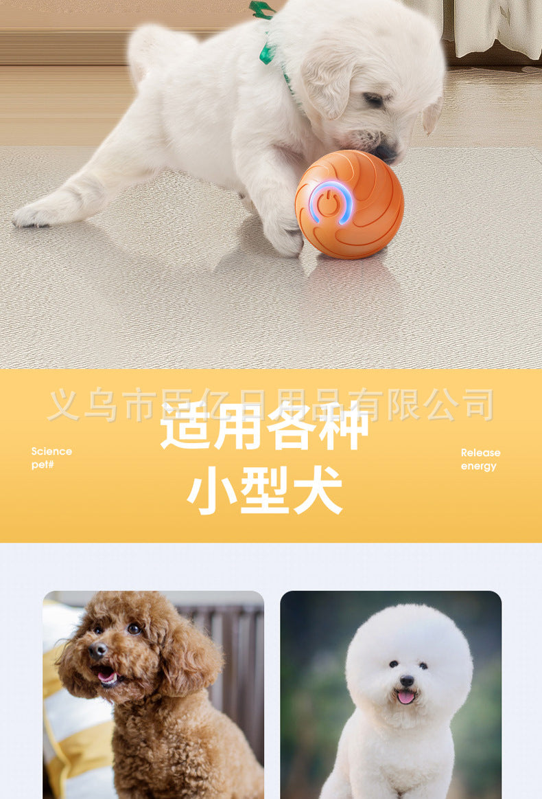 PlayPounce Interactive Ball