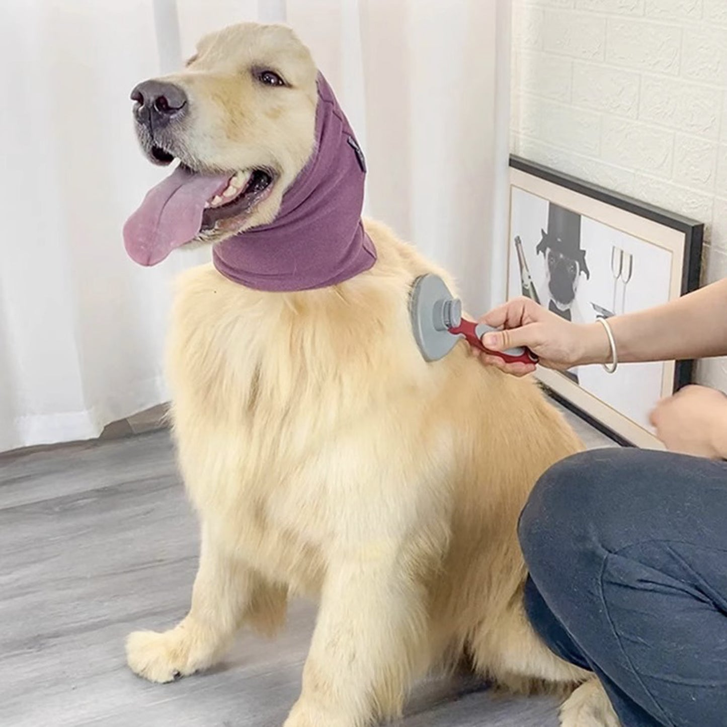 CalmPaws Comfort Earmuffs