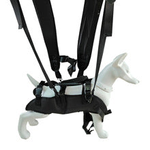 CalmPaws Comfort Earmuffs