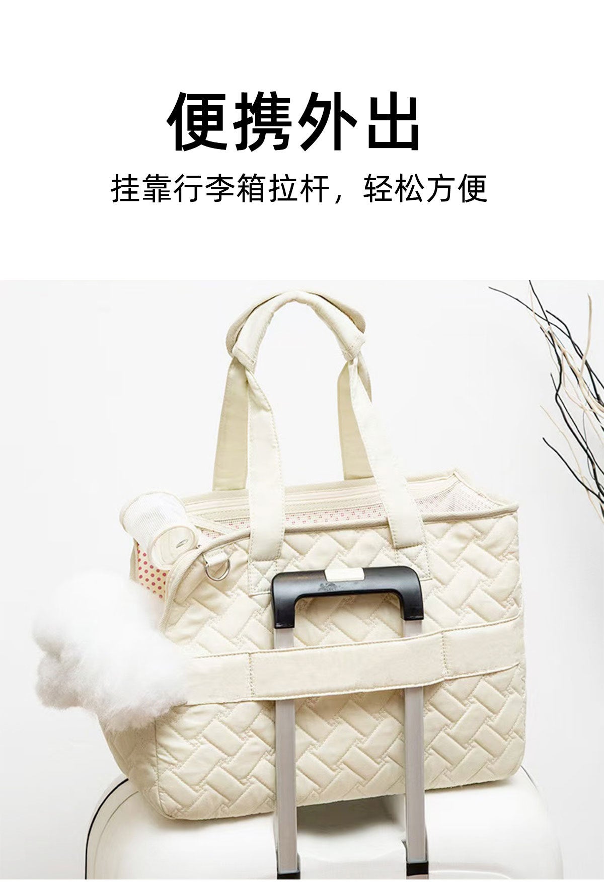 BreezeCarry Pet Bag