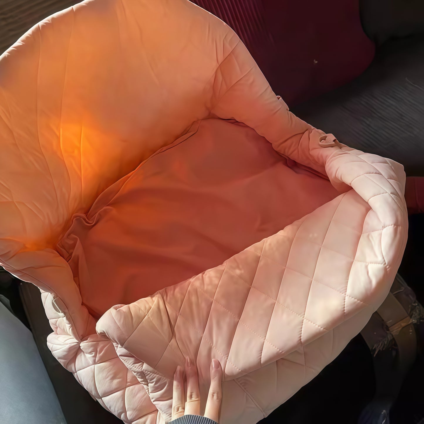 TravelNest Pet Carrier