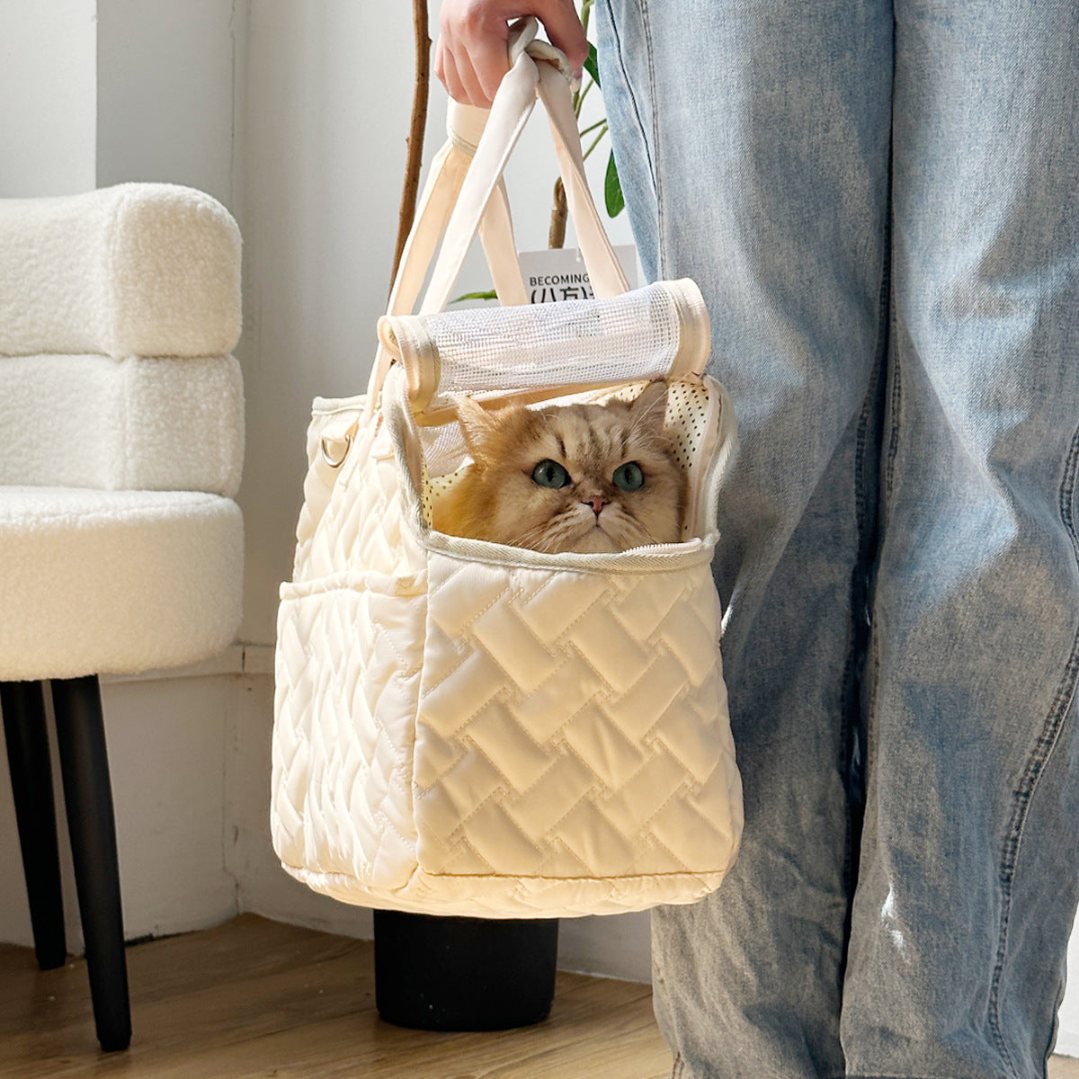 BreezeCarry Pet Bag