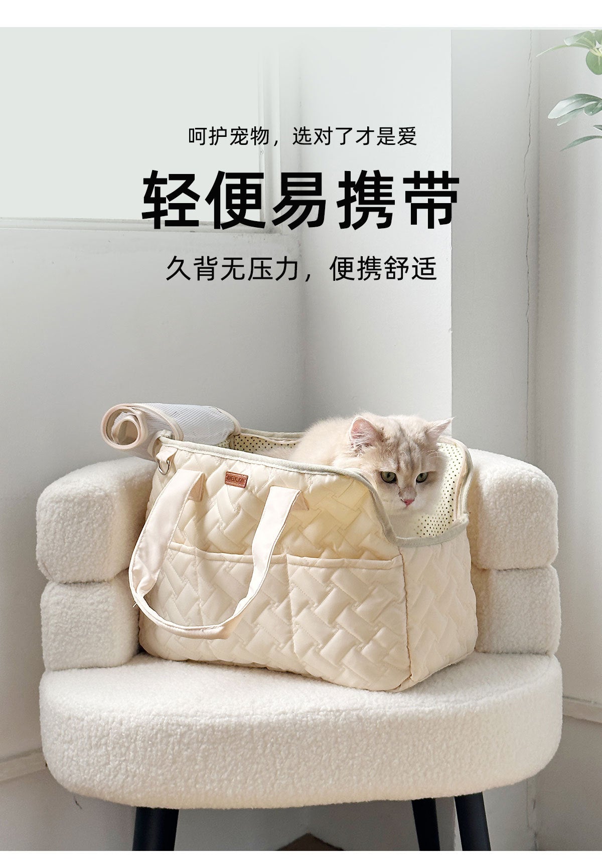 BreezeCarry Pet Bag