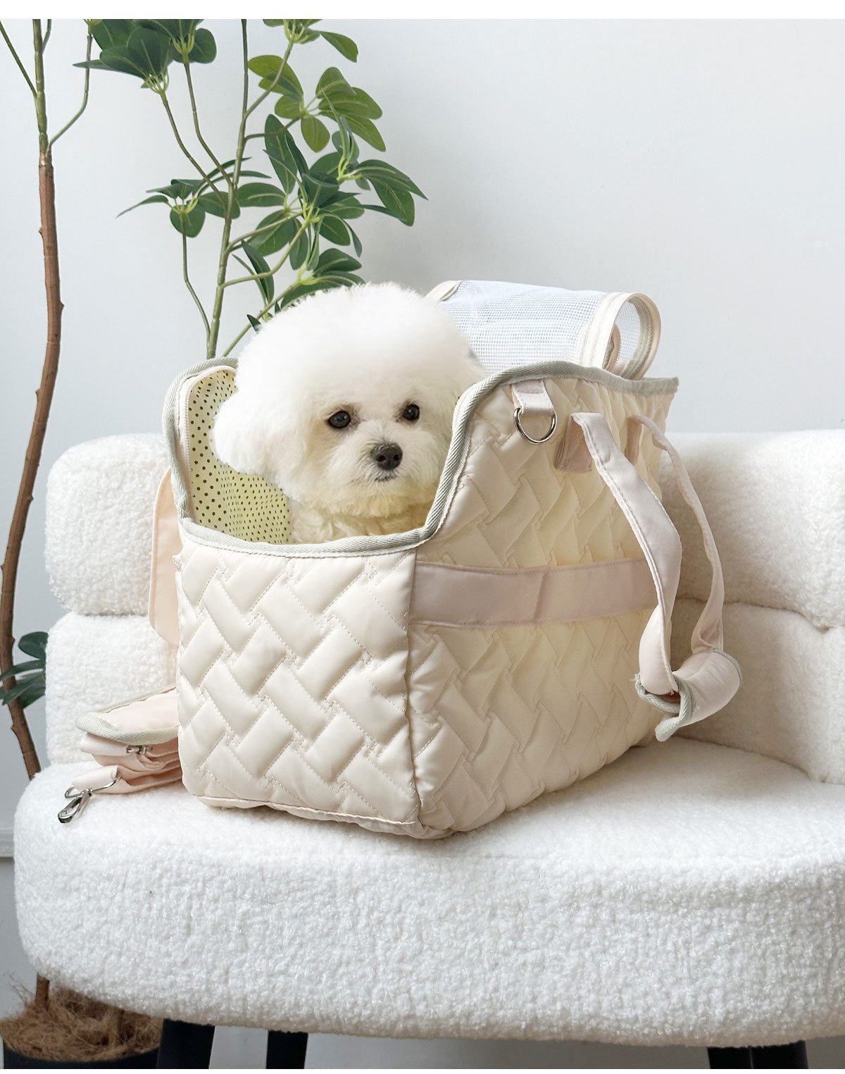 BreezeCarry Pet Bag