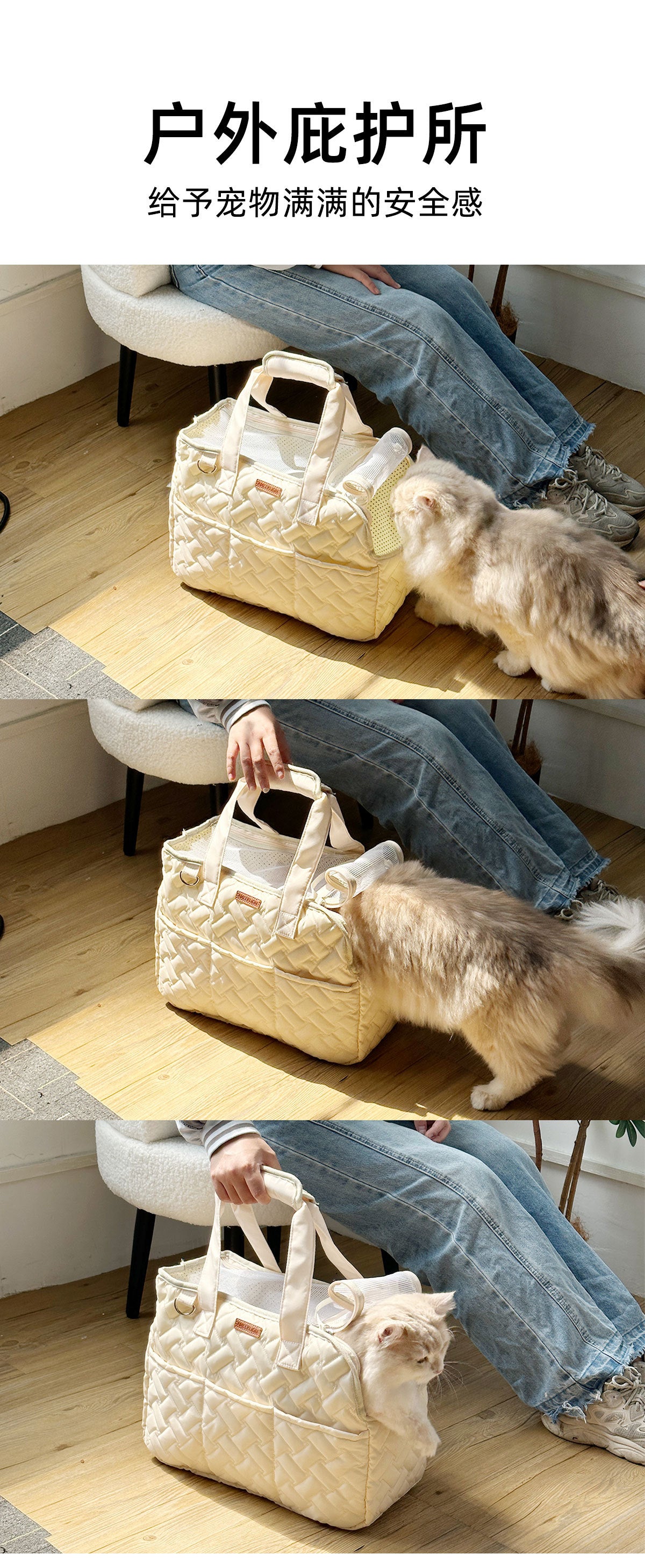 BreezeCarry Pet Bag