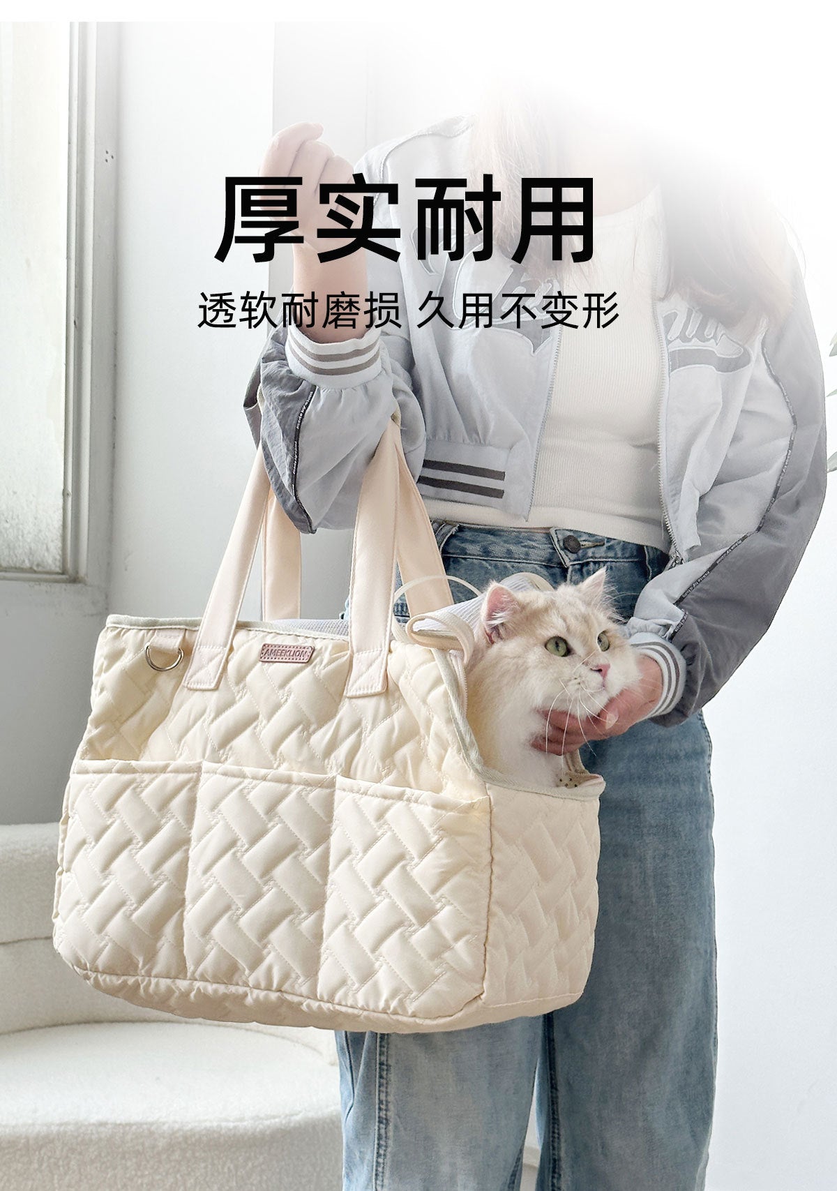 BreezeCarry Pet Bag