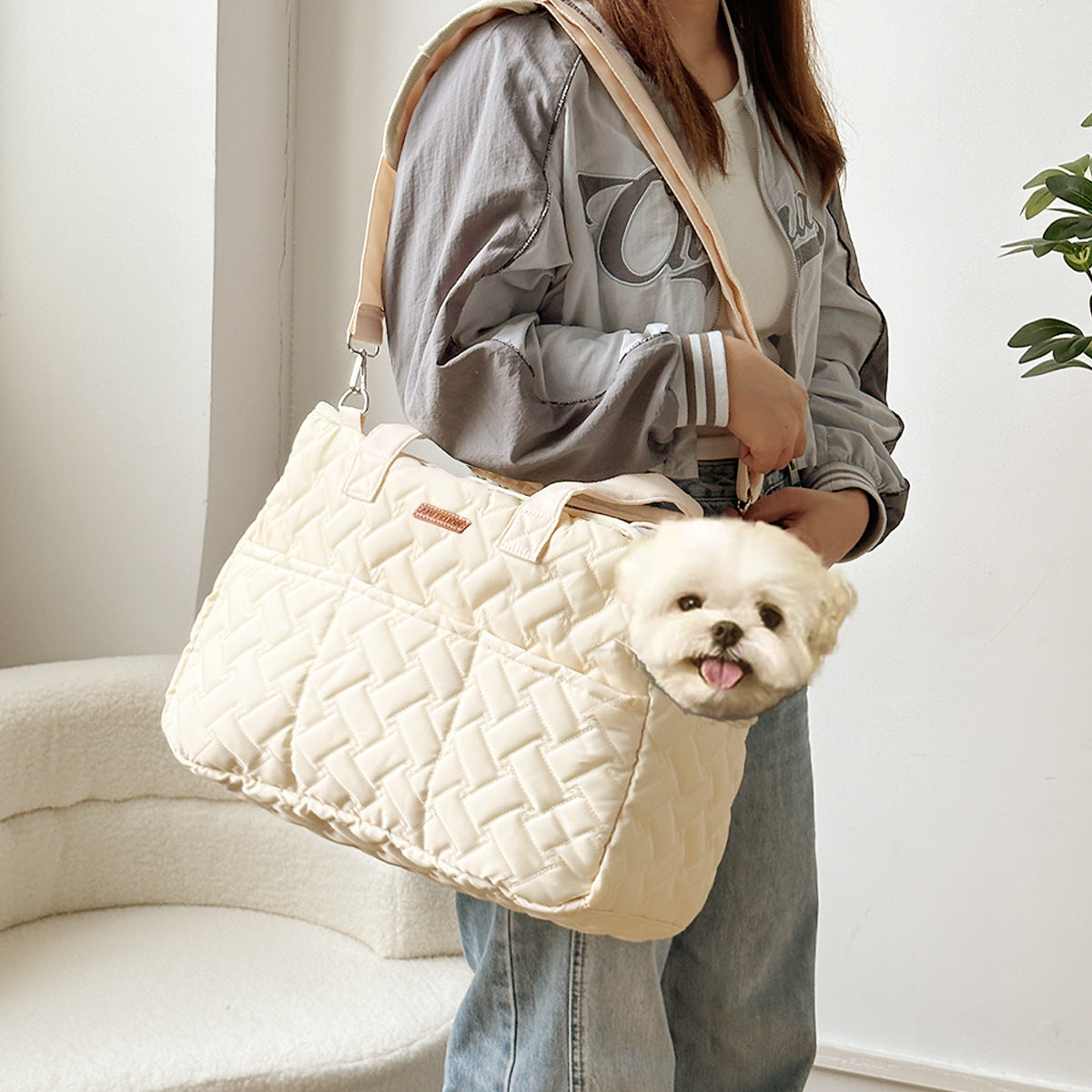 BreezeCarry Pet Bag