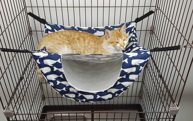 CloudNest Cat Hammock