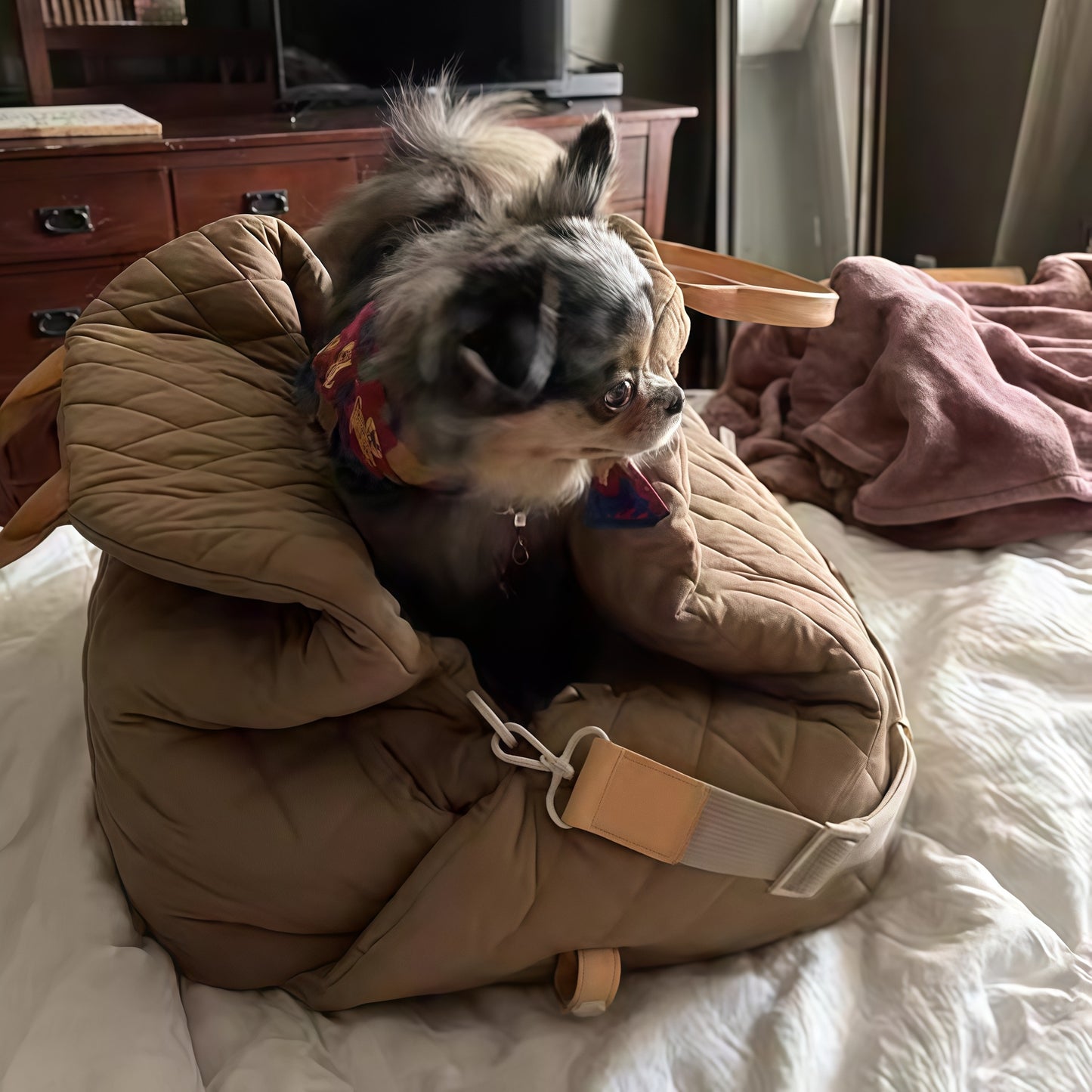 TravelNest Pet Carrier