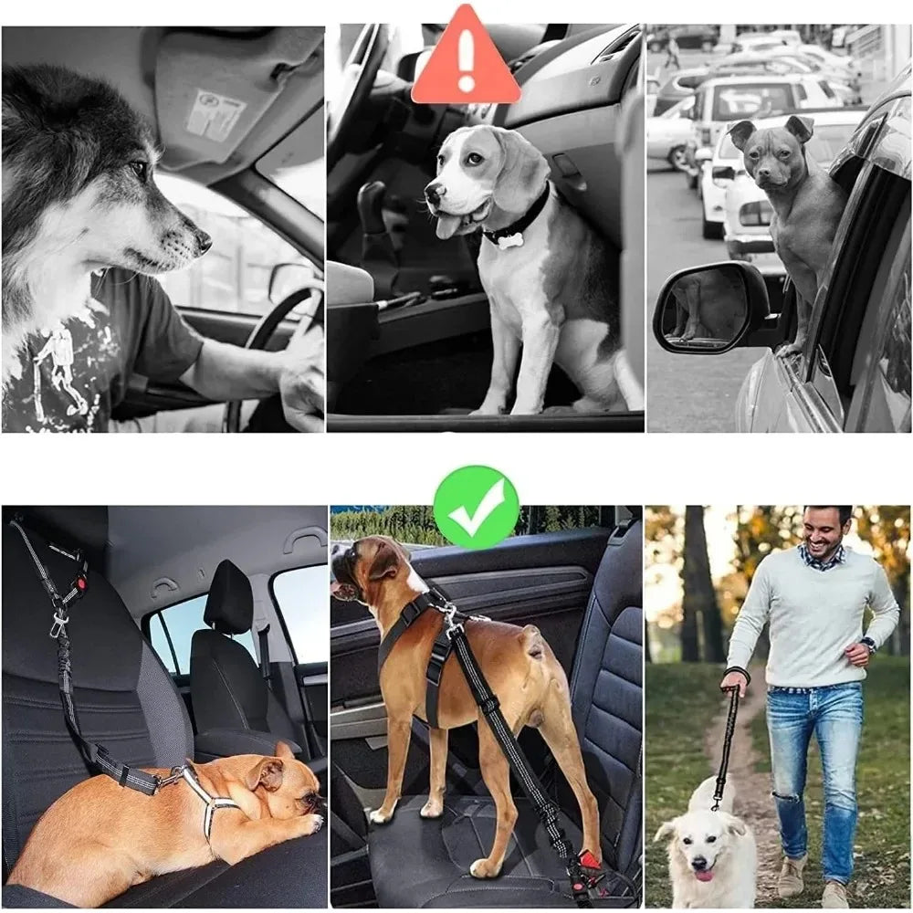 Dog Safety Seat Belt