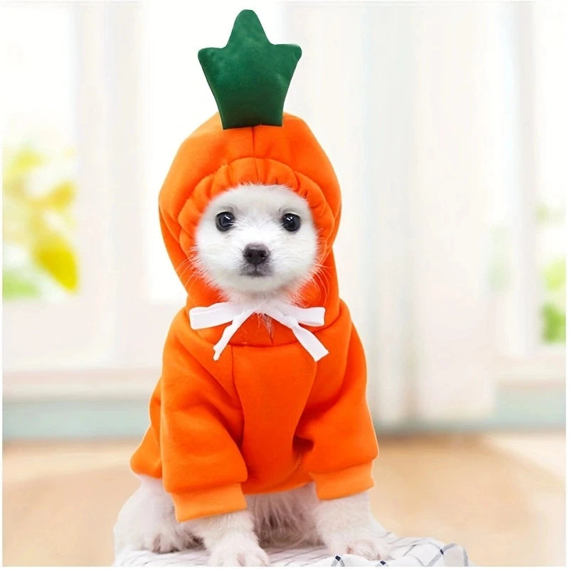 Fruity Cozy Hoodie
