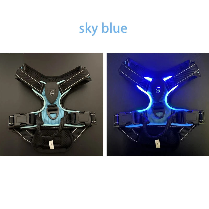 GlowSafe LED Harness