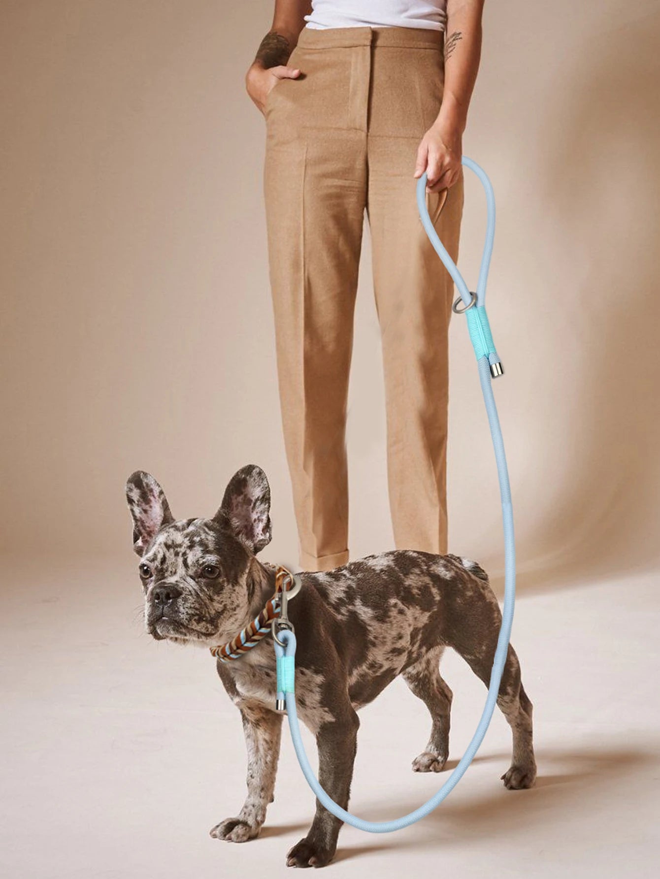Everyday Nylon Leash