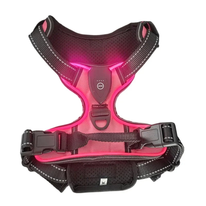 GlowSafe LED Harness