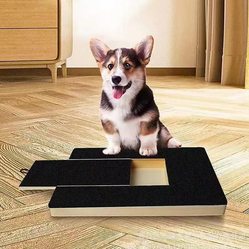 PawPerfect Nail Board