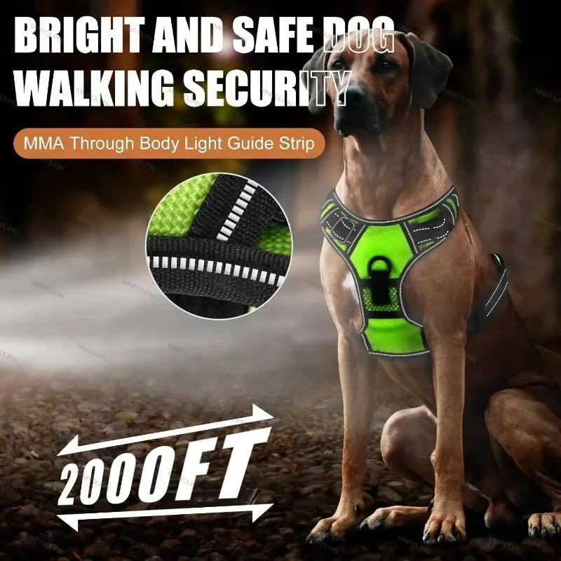 GlowSafe LED Harness