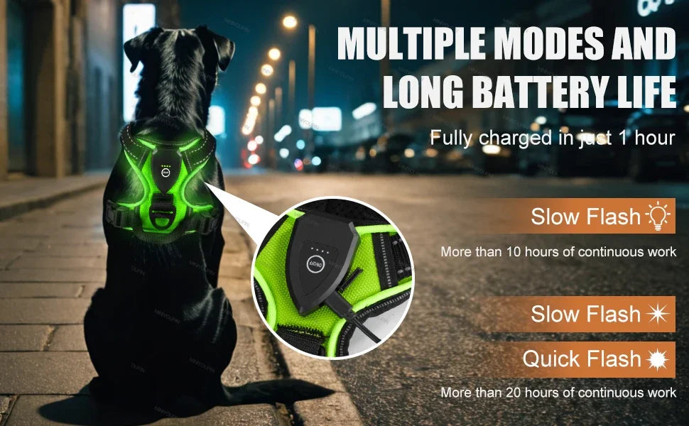 GlowSafe LED Harness