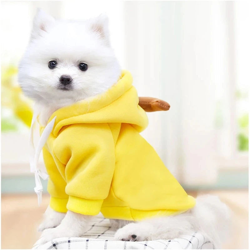 Fruity Cozy Hoodie