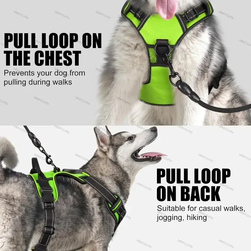 GlowSafe LED Harness
