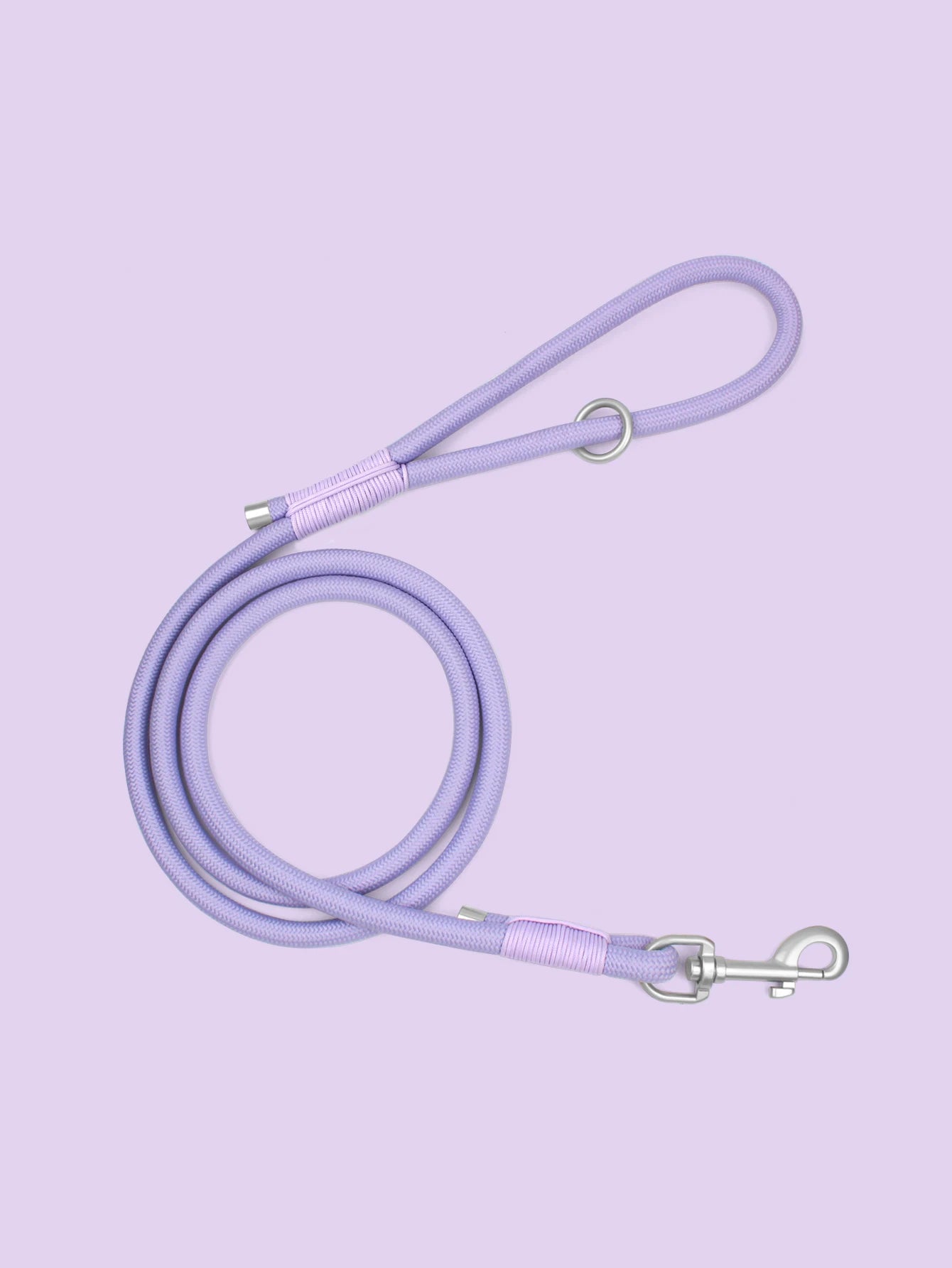 Everyday Nylon Leash