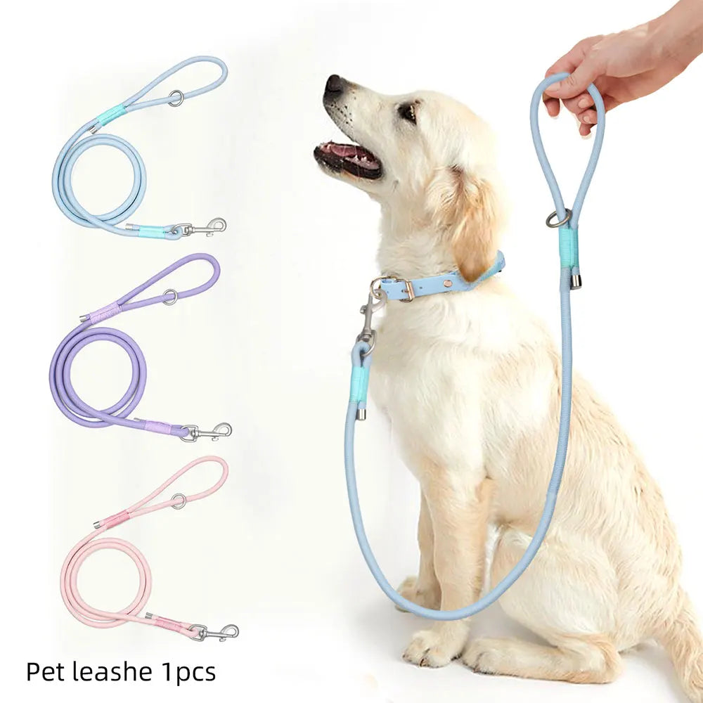 Everyday Nylon Leash