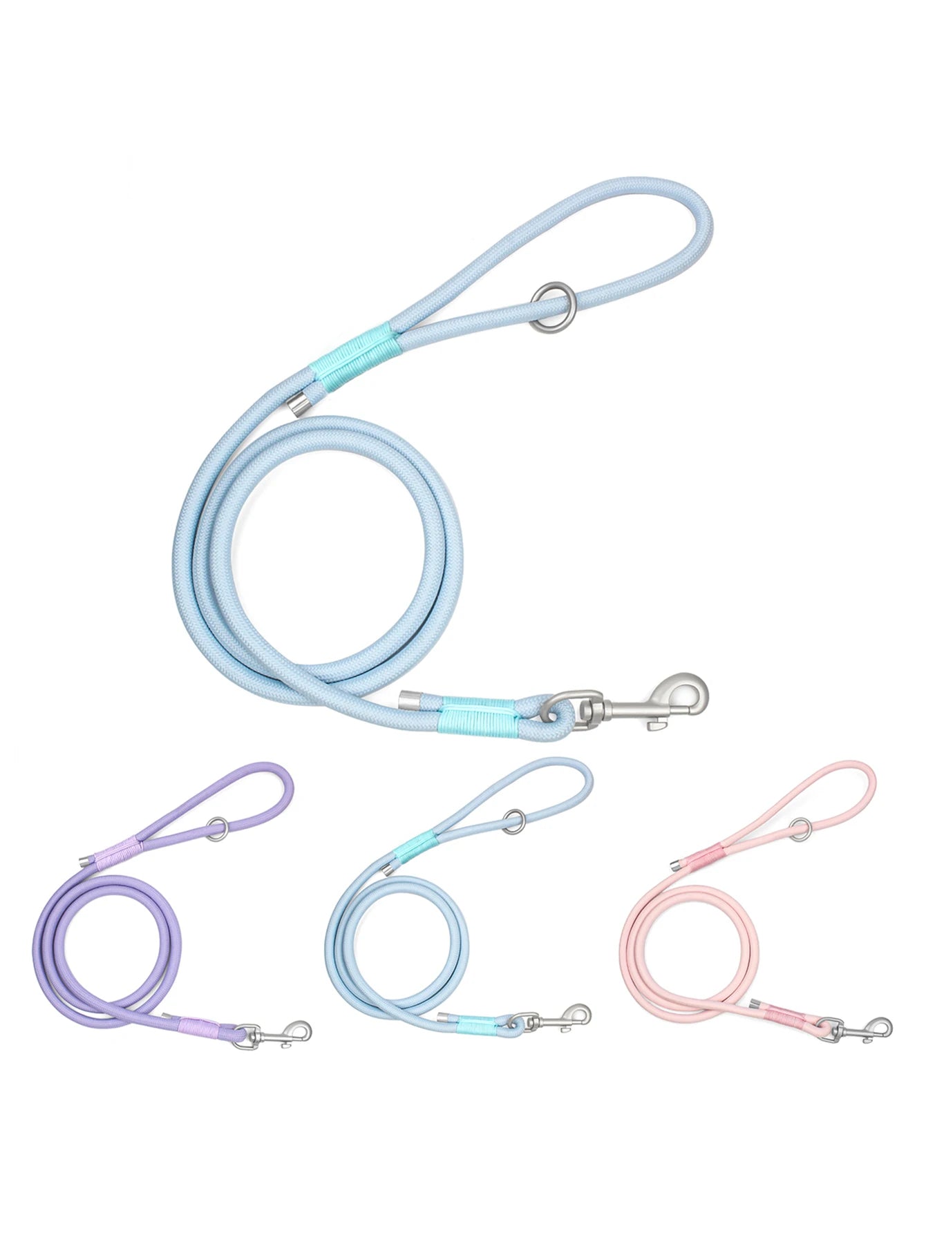 Everyday Nylon Leash