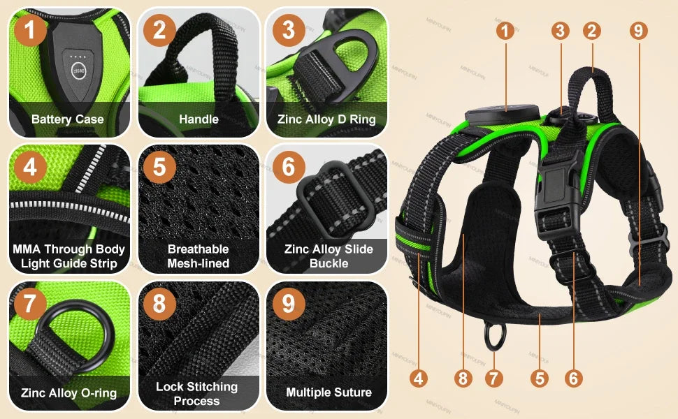 GlowSafe LED Harness