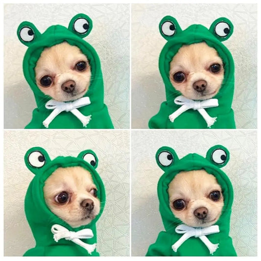 1PC Green Frog Design Dog Hoodie | Cute Cozy Stylish Pet Sweater for Small & Medium Dogs