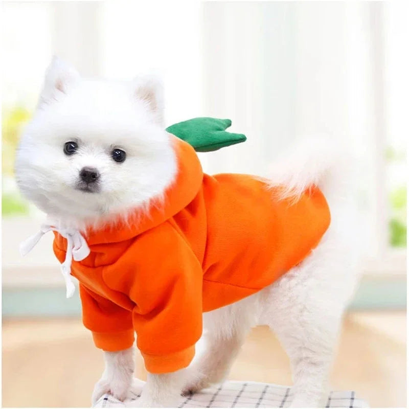 Fruity Cozy Hoodie