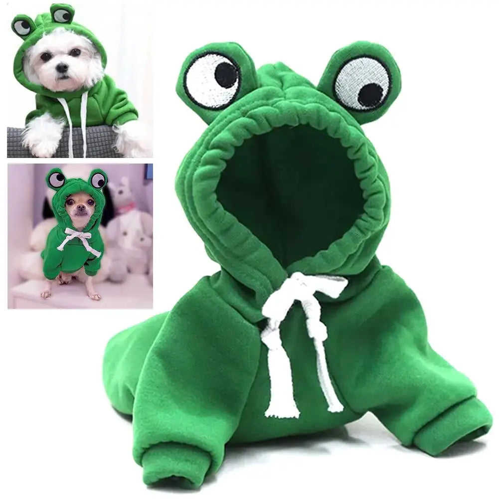 Froggy Comfort Hoodie