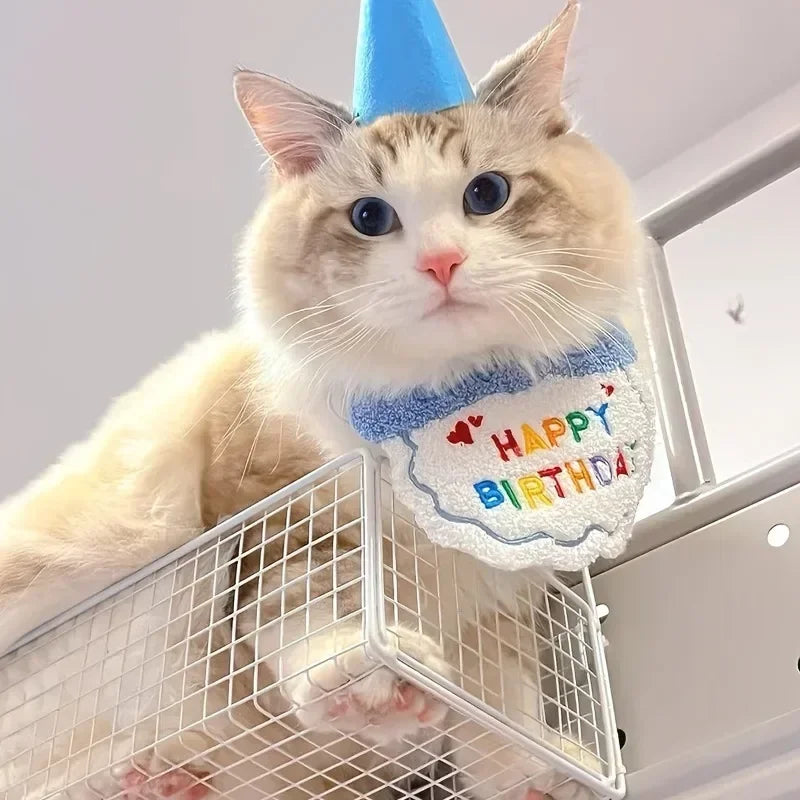Birthday Pawty Set