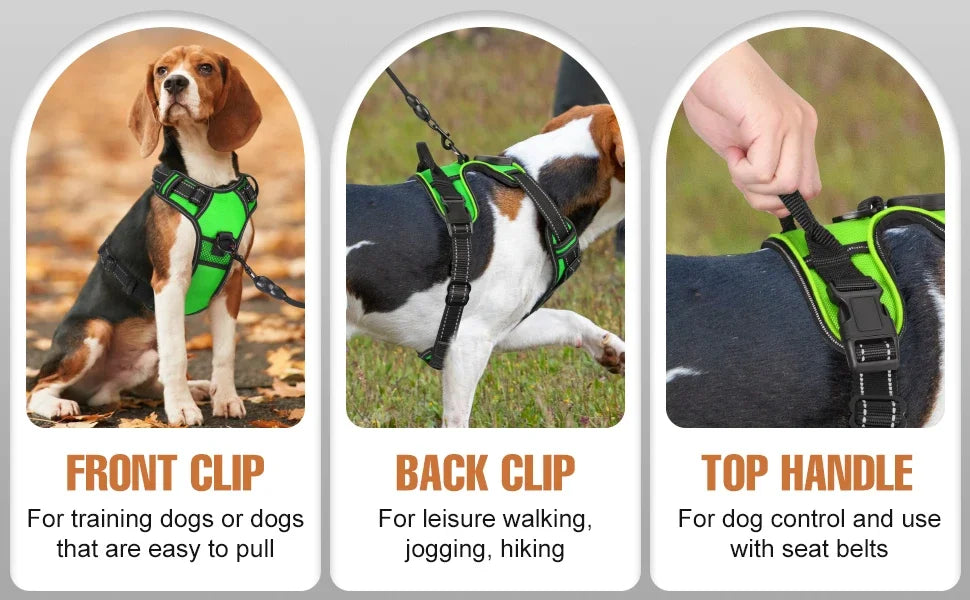 GlowSafe LED Harness