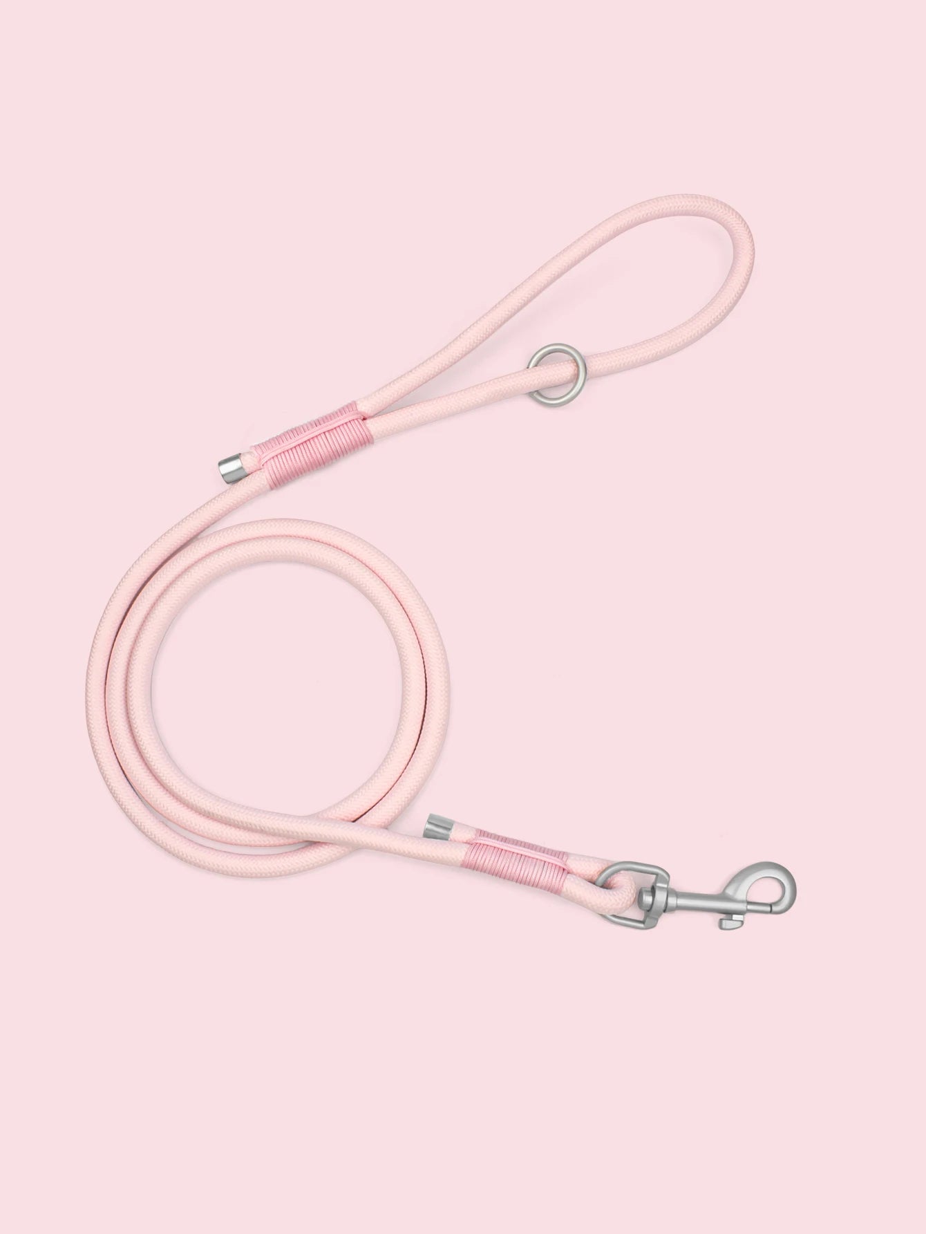 Everyday Nylon Leash