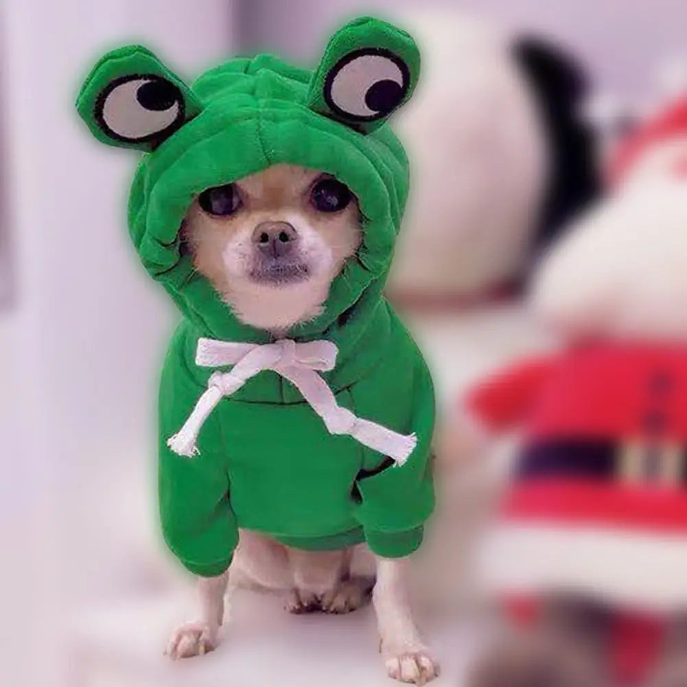 Froggy Comfort Hoodie