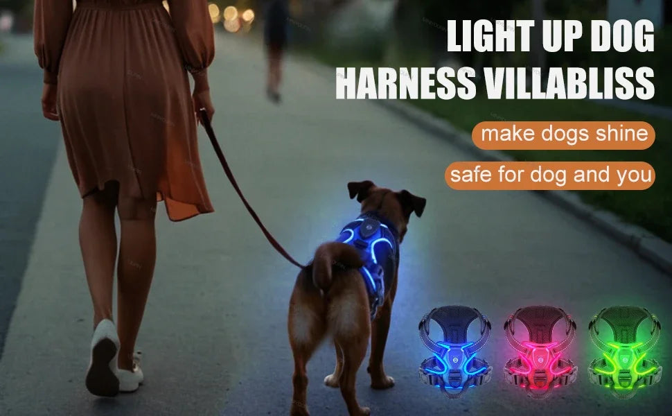 GlowSafe LED Harness