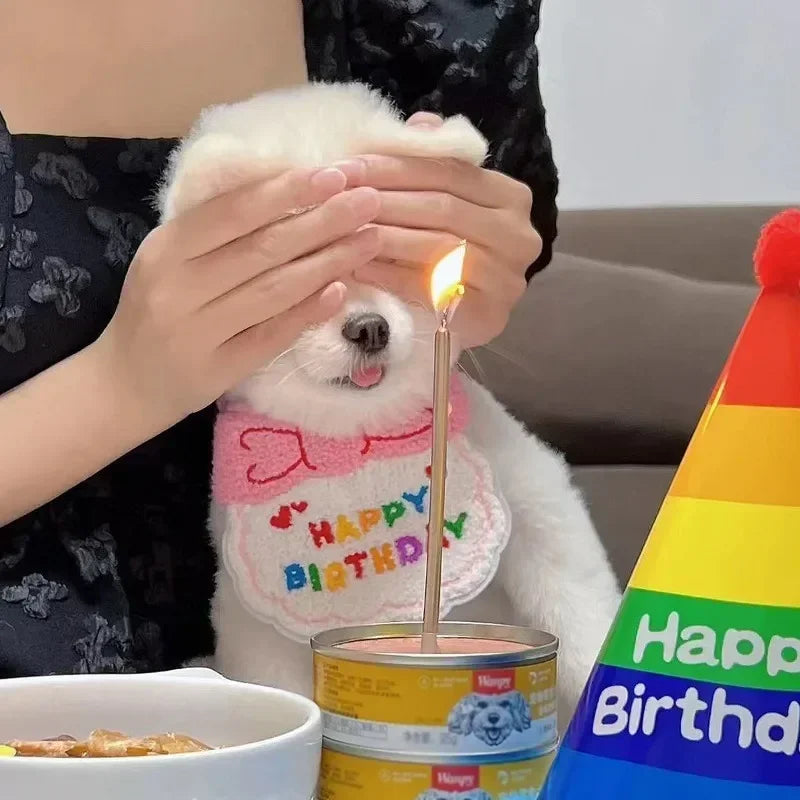 Birthday Pawty Set