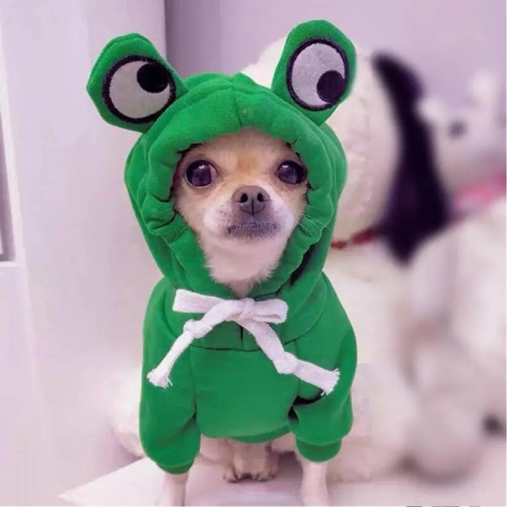Froggy Comfort Hoodie