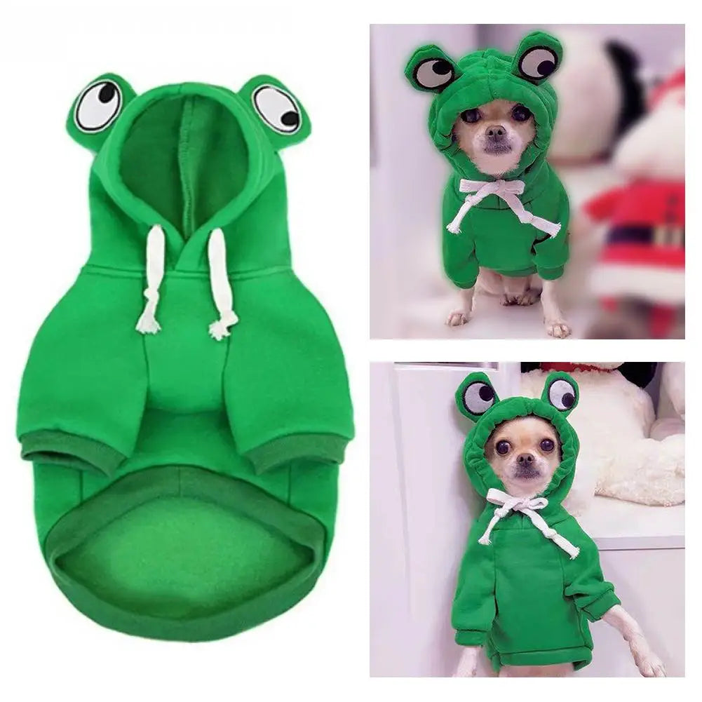 Froggy Comfort Hoodie